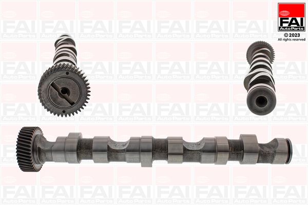 FAI AutoParts Nockenwelle (C246) Online-Deal